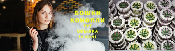 крисы Вязьма