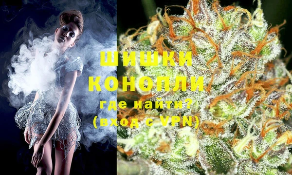 крисы Вязьма