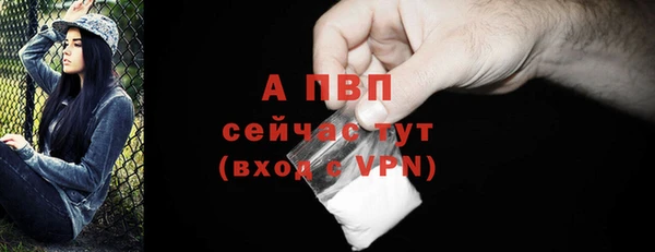 крисы Вязьма